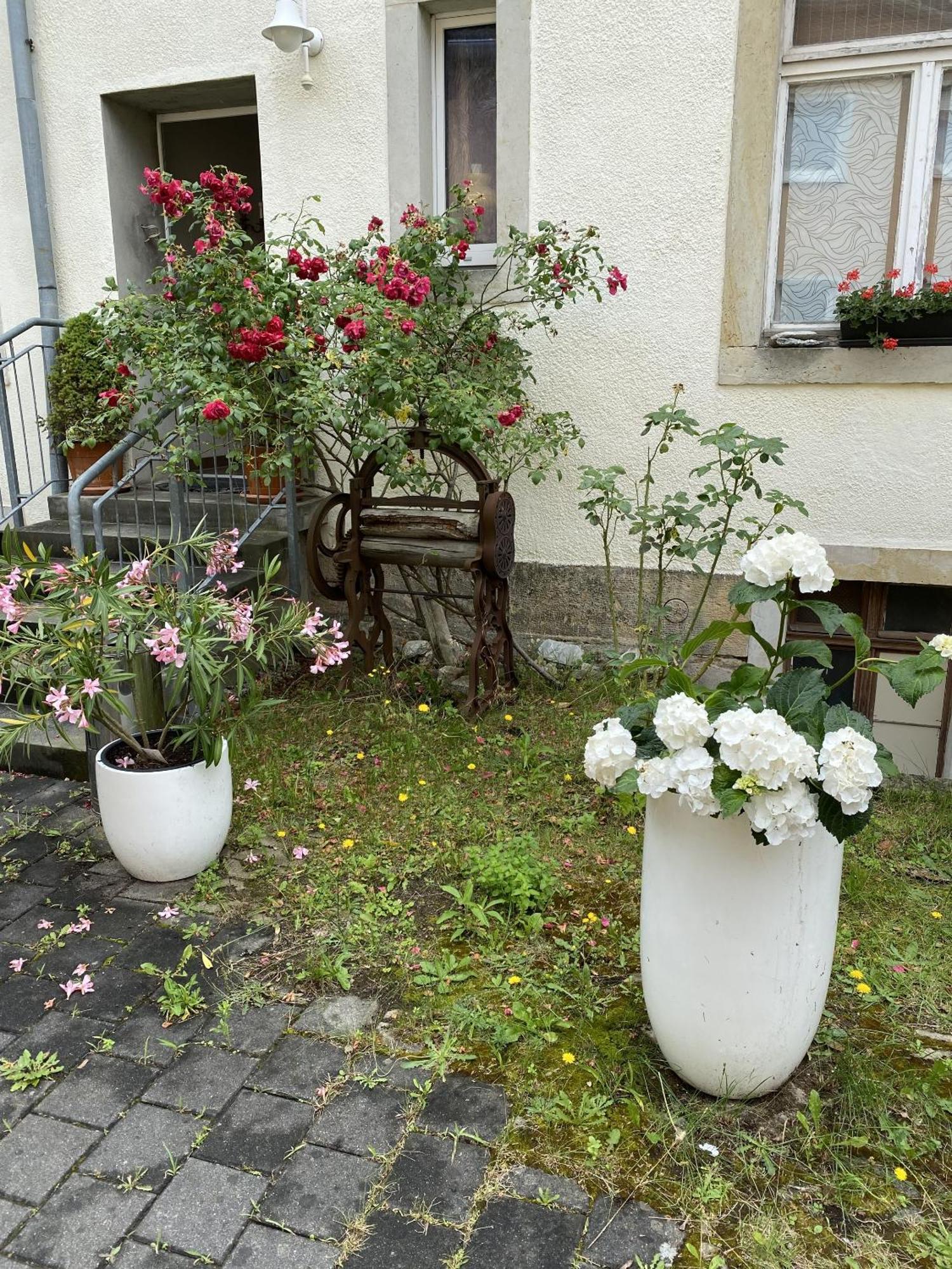 Appartement Und Gaestehaus Matthias Dresde