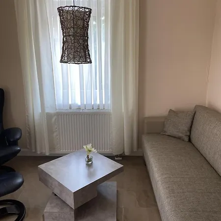 Apartments Und Zimmer Gaestehaus Matthias Dresde Chambre photo