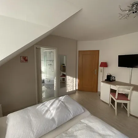 Apartments Und Zimmer Gaestehaus Matthias Dresde Chambre photo