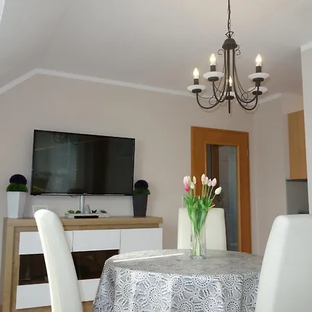 Apartments Und Zimmer Gaestehaus Matthias Dresde Chambre photo