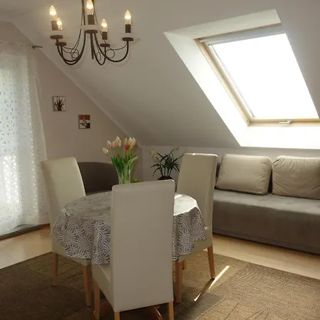 Apartments Und Zimmer Gaestehaus Matthias Dresde Chambre photo